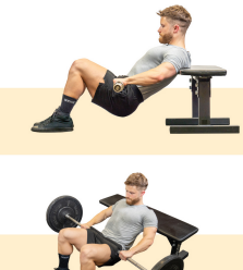 Hip Thrust